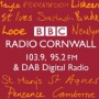 I'll Be On Radio Cornwall This Afternoon